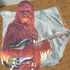 Picture for song 'Chewbacca's On My Underwear' by artist 'Rutherford B Hayes Is Dead'