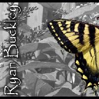 Picture for song 'You Only Know' by artist 'Ryan Buckley'