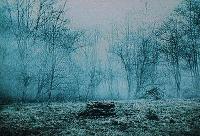 Picture for song 'Mynor Glitch' by artist 'RyPa The Transparent Exorcist'