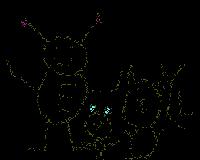 cover pic