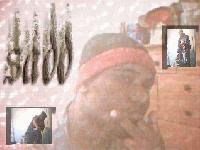 Picture for song 'verbal intercourse freestyle' by artist 'Saddre Fonzworth'