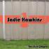 Picture for song 'On the Radio' by artist 'Sadie Hawkins'