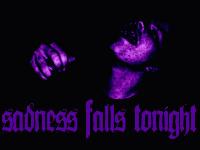 Picture for song 'Lost Member' by artist 'Sadness Falls Tonight'