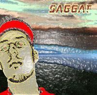 Picture for song 'bi***, we kunnen het beter laten....' by artist 'Saggat'