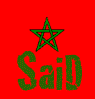 Picture for song 'SaiD - Revolutie '04' by artist 'SaiD (Maroc)'