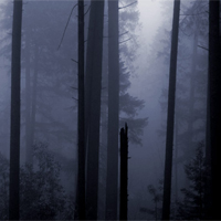 Picture for song 'Fall' by artist 'Samadhi'
