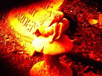 Picture for song 'Phantom Pleasure, Phantom Pain (aka November)' by artist 'Sam Malone Band'