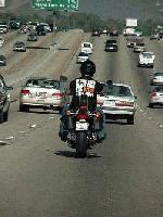 Picture for song 'Tha Chase' by artist 'sand style beats'