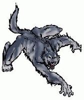 Picture for song 'Capo3g' by artist 'Sandz'