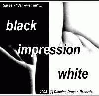 Picture for song 'Black & White Impression' by artist 'Sanes'