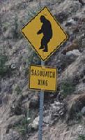 Picture for song 'durchfall' by artist 'sasquatch'