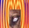 Picture for song 'funky bluze jelly jam' by artist 'sasquatch666'