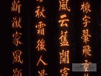 Picture for song 'Fine China' by artist 'Savage Buddah'