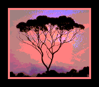 Picture for song 'Sunny Days' by artist 'Savage Peter'