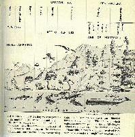 Picture for song 'Dont Give' by artist 'Savage Tracks'