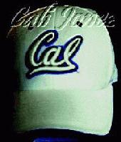 Picture for song 'Left Coast R&B' by artist 'Save That Records'
