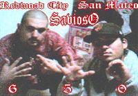 Picture for song 'Shades of Green' by artist 'Savioso Records'