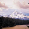 Picture for song 'Come, Chase The Wind' by artist 'Savory Cool'