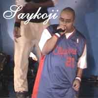 Picture for song 'rock da party' by artist 'saykoji'