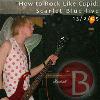 Picture for song 'Red Lights on the Road (live)' by artist 'Scarlet Blue (UK)'