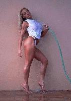 Picture for song 'srh5' by artist 'Schillah118'