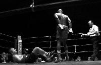 Picture for song 'LONE STREET' by artist 'sciencebeatproduction'