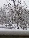 Picture for song 'The Silver Dollar Snowflakes' by artist 'Science of Silence'