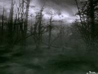 Picture for song 'Crush the light!!' by artist 'Scorched'