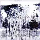 Picture for song 'Heal Me' by artist 'Screams of Cold Winter'