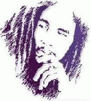 cover pic