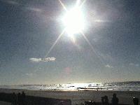 Picture for song 'Cerebral Scholars' by artist 'SDB'