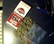 Picture for song 'ChewyRoach 2' by artist 'SDB'