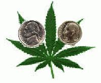 Picture for song 'newsound' by artist 'SDB'