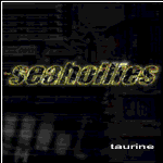 Picture for song 'This is' by artist 'Seahollies'