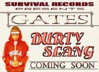 Picture for song 'GO HARD' by artist 'SEAN GATES'