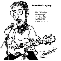 Picture for song 'The Little Bitty, Two Inch Strip (Duct Tape Song)' by artist 'Sean McGaughey'