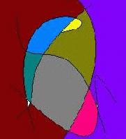 Picture for song 'Attn: a tension' by artist 'seapeaare'