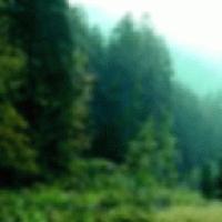 Picture for song 'bo' by artist 'sebastian'