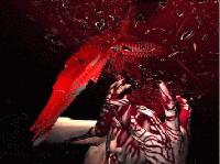 Picture for song 'Hate Inside' by artist 'Second Flesh'