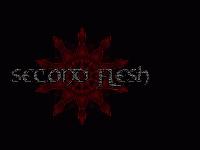 Picture for song 'New Beginning' by artist 'Second Flesh'