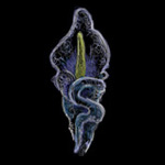 Picture for song 'Five by Nine Room' by artist 'Seconds Away'