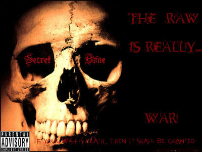 Picture for song 'Evolution of our Music' by artist 'Secret Bone'