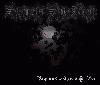 Picture for song 'As Darkness Falls (new)' by artist 'Secrets She Kept'