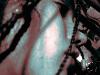 Picture for song '(un-named) (sample)' by artist 'Secular Soul'