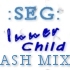 Picture for song 'Innerchild (Ash Remix)' by artist 'SEG'