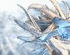 Picture for song 'Angel' by artist 'Segun Williams'