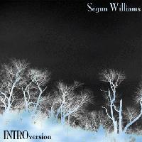 Picture for song 'Kaleidoscope' by artist 'Segun Williams'