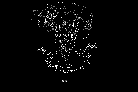 Picture for song 'Freedom' by artist 'Self Adress'