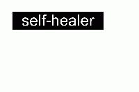 Picture for song 'shotgun smile' by artist 'self-healer'
