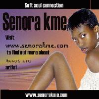 Picture for song 'Have u ever' by artist 'Senora Kme'